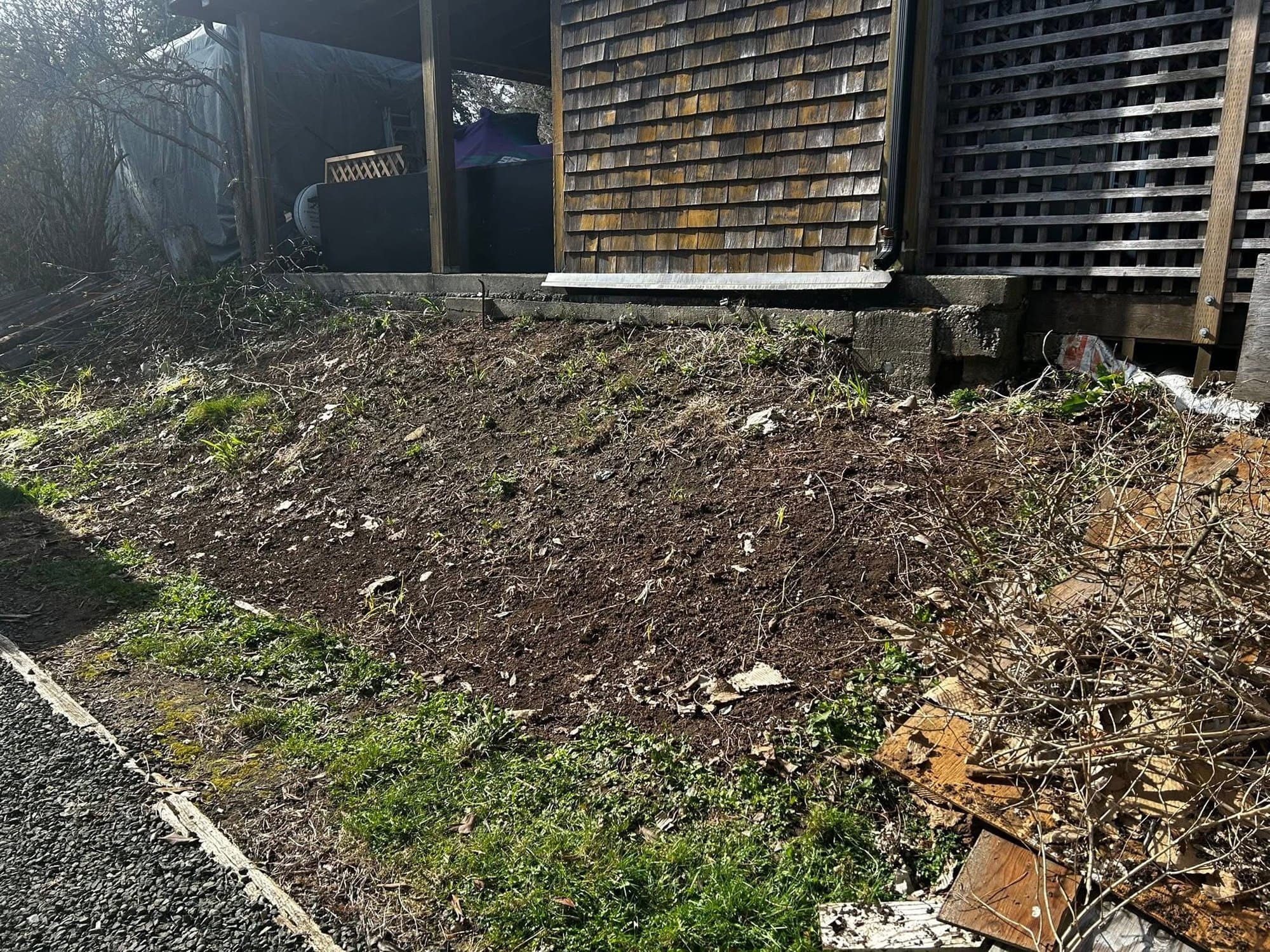 Before: Garden Bed Establishment